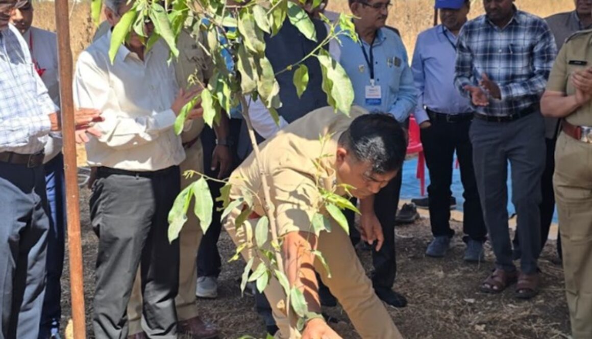 Bees to Forests Saraf planting