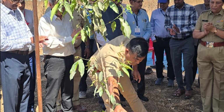 Bees to Forests Saraf planting