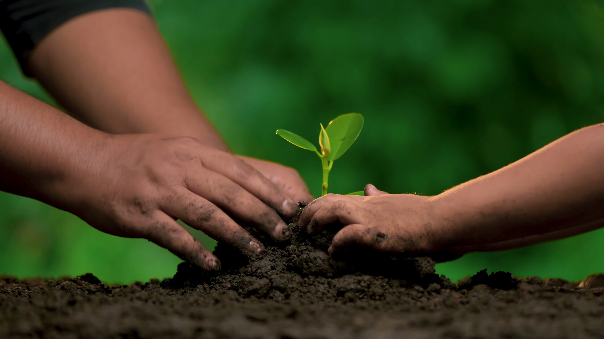 Planting,Trees,,Loving,The,Environment,And,Protecting,Nature,Nourishing,The