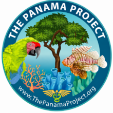 Panama Project Logo