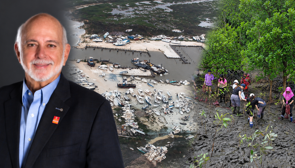 Barry Rassin WordPress with wikipedia Dorian & Mangrove planting Commons pix