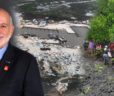 Barry Rassin WordPress with wikipedia Dorian & Mangrove planting Commons pix