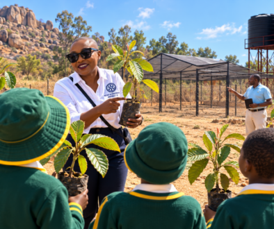 Chenesai Tree planting image